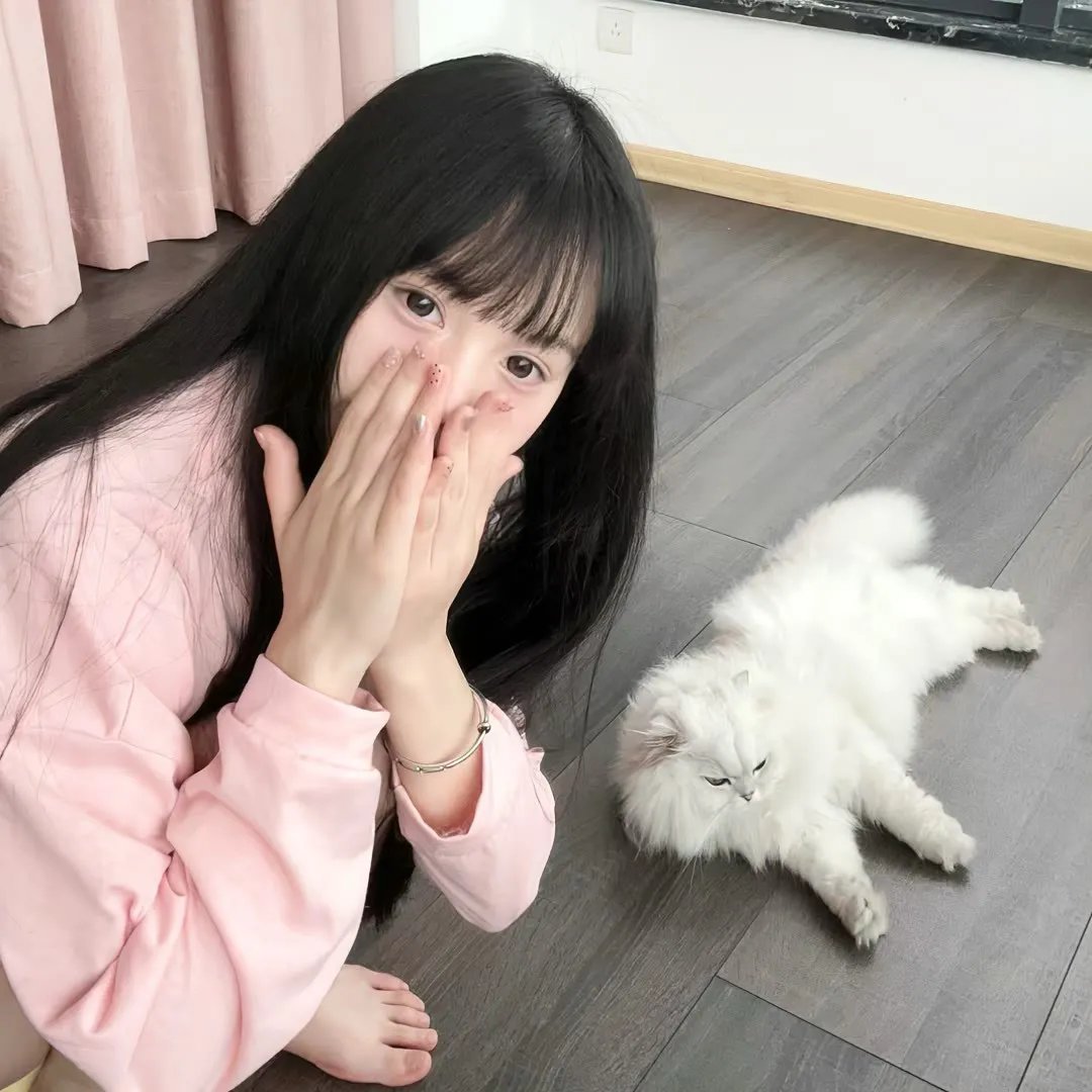 亲爱的总理