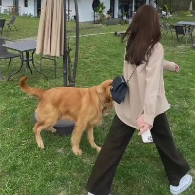月亮的华尔兹